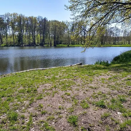 Apartment Am Wilden Bach *