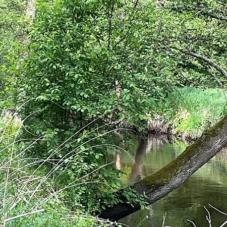 Appartement Am Wilden Bach